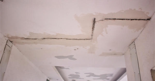 Chung cư thu nhập thấp Đặng Xá xuống cấp, rêu mốc xanh và những vết nứt