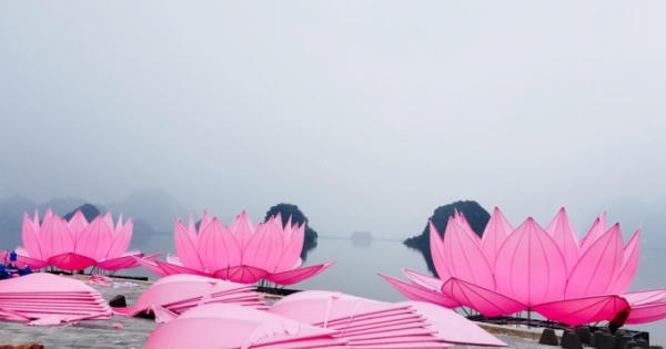 Đại lễ Vesak LHQ 2019: Khai mạc chuỗi các sự kiện văn hóa Phật giáo