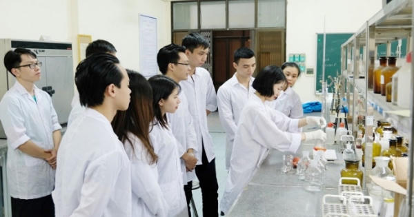 Nhát búa “10 nghìn đô la” và giá của chất xám!
