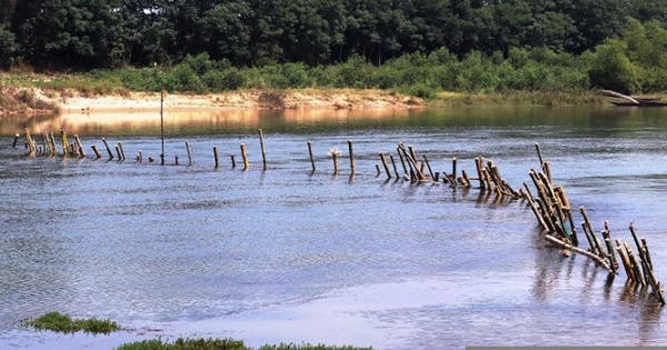 Vụ 'dàn trận địa cọc tre' ngăn cát tặc: Doanh nghiệp vi phạm chây ì khắc phục Vụ 'dàn trận địa cọc tre' ngăn cát tặc: Doanh nghiệp vi phạm chây ì khắc phục