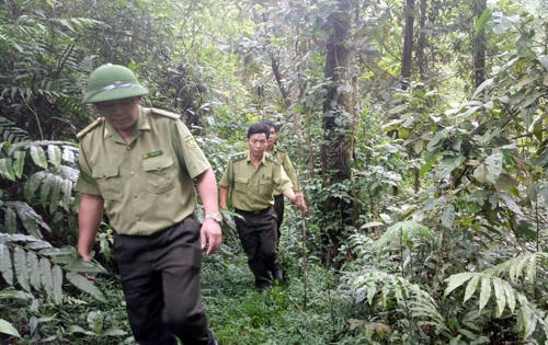 Nghệ An: Ban quản lý rừng Đặc dụng Nam Đàn nợ BHXH gần nửa tỷ đồng