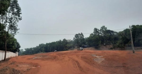 Vĩnh Phúc: “Đất tặc” thi nhau moi múc đất lâm nghiệp, cả quả đồi bị “băm vạt”