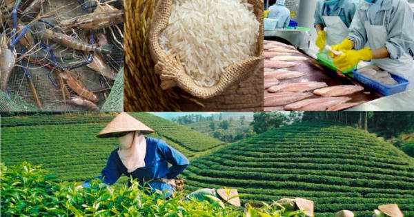 Bảo vệ thương hiệu Việt Bảo vệ thương hiệu Việt
