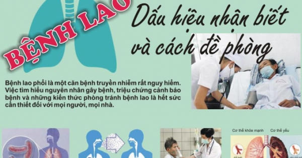 Quy chế tổ chức, hoạt động của Ủy ban Quốc gia chấm dứt bệnh lao