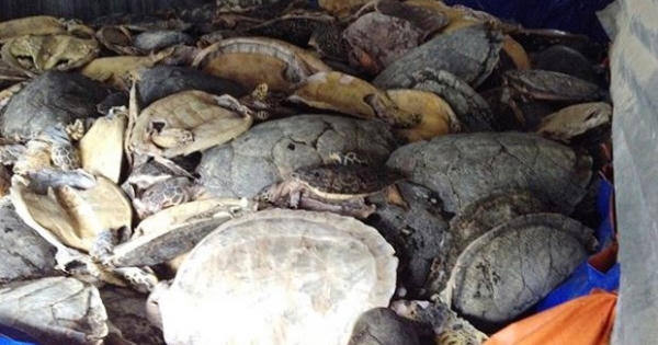 Khi thờ ơ cũng là tội ác Khi thờ ơ cũng là tội ác