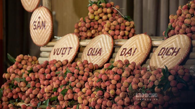 Bản lĩnh 'vượt khó' của Việt Nam