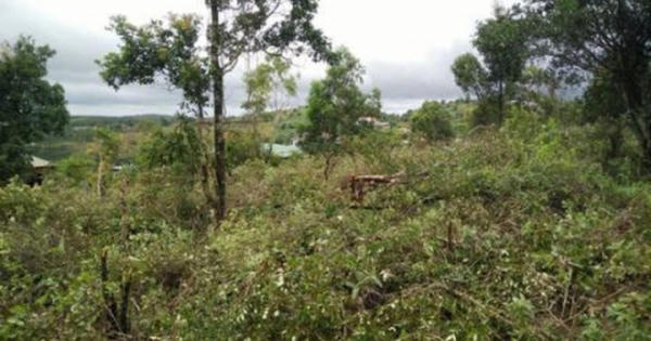 Quản lý, sử dụng đất quốc phòng, an ninh: Thí điểm chính sách mới từ 1/2/2021 Quản lý, sử dụng đất quốc phòng, an ninh: Thí điểm chính sách mới từ 1/2/2021