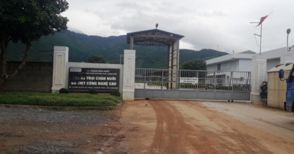 6 triệu m2 nông trường bị Hòa Phát 'thôn tính' không tốn 1 xu