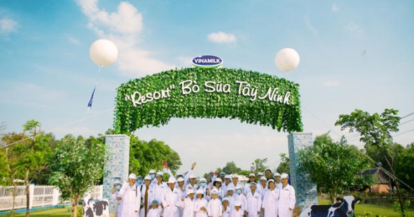 Resort bò sữa Vinamilk có gì mà các bé thích thú đến thế?
