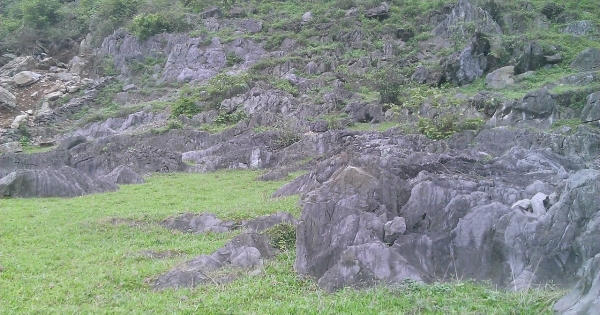 Bỉm Sơn – Thanh Hóa: Cho rằng bị truy tố oan sai, cựu bí thư phường kêu cứu.