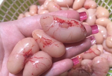 Nguồn gốc bí ẩn 'thần dược' ngọc kê bán tràn Hà Nội
