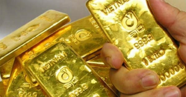Giá vàng hôm nay 26/11: Giá vàng thiết lập đáy mới