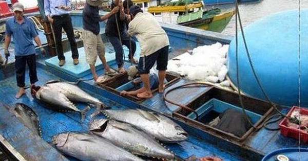 Quyết tâm gỡ 'thẻ vàng' đối với thủy sản vào đầu năm 2019