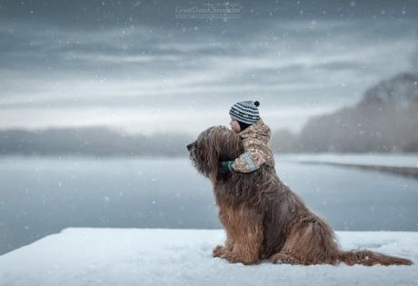 Những bức ảnh dễ thương về "Em bé và những chú chó lớn"