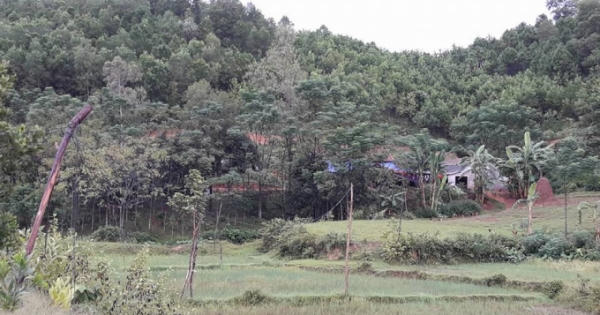 Hai bố con bị sét đánh tử vong khi đang ngủ trong nhà