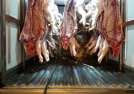 Lô heo bệnh suýt lên bàn ăn của người Sài Gòn Lô heo bệnh suýt lên bàn ăn của người Sài Gòn