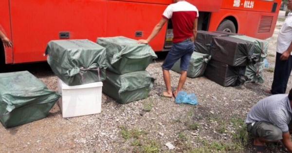 Nghệ An: Bắt giữ hàng nghìn bao thuốc lá lậu và hàng tấn Nhộng ngâm hóa chất