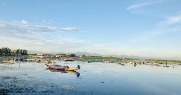 Thừa Thiên Huế: Thành lập Khu bảo tồn thiên nhiên đất ngập nước Tam Giang – Cầu Hai Thừa Thiên Huế: Thành lập Khu bảo tồn thiên nhiên đất ngập nước Tam Giang – Cầu Hai