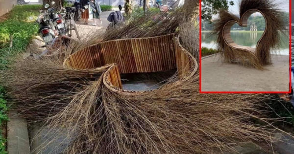 "Trái tim lông" và sức mạnh của dư luận