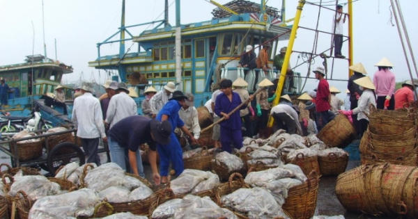 Chấm dứt khai thác hải sản trái phép ở vùng biển nước ngoài Chấm dứt khai thác hải sản trái phép ở vùng biển nước ngoài