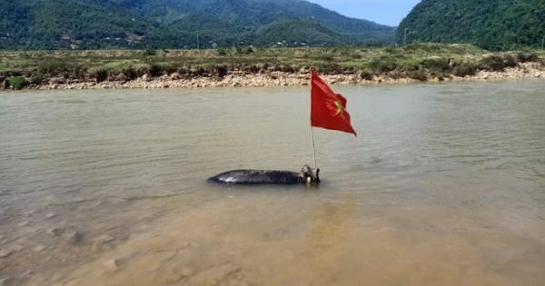 Đi đánh cá, đánh được cả quả bom khủng còn nguyên kíp nổ trên sông