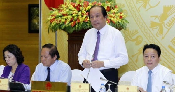 Sẽ công bố nguyên nhân cá chết trong tháng 6