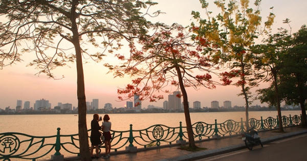 Phượng khoe sắc đỏ, Hà Nội bỗng đẹp như tranh vẽ