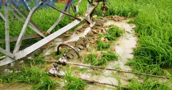 Bộ Xây dựng đề nghị Bộ Công thương vào cuộc vụ cột điện 500Kv "đổ gục"