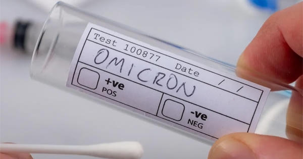 COVID-19: Biến chủng Omicron dễ lây nhưng 'hiền' hơn?