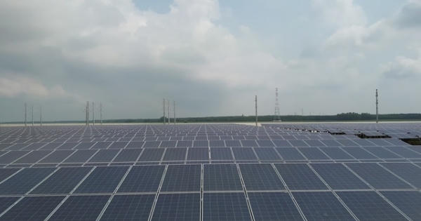 Cả dây doanh nghiệp Trung Quốc "đội lốt" hàng Việt xuất đi Mỹ