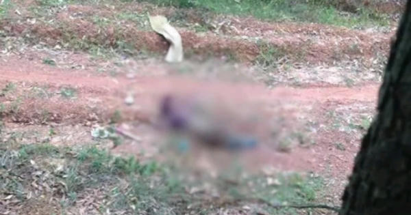 Thông tin mới nhất vụ người phụ nữ bị sát hại ở vườn cây Bệnh viện Quân Y 91