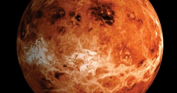 Hé lộ kế hoạch táo bạo của SpaceX trong chiến dịch 'đánh chiếm' sao Hỏa