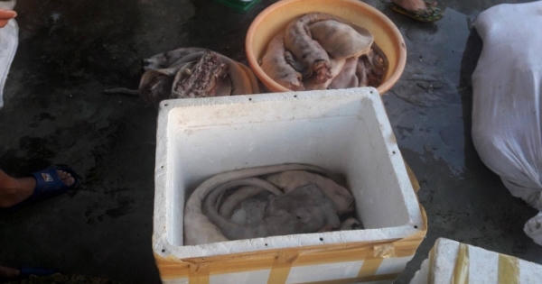 Hà Tĩnh: Phát hiện quán ăn chứa hơn 1 tạ đuôi bò bốc mùi hôi thối