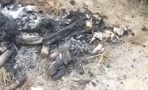 Các bộ phận xương bị đốt cạnh nghĩa trang được xác định là xương người