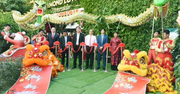 Dự án Diamond Lotus Riverside: Nối cầu dây văng Sky Park đầu tiên tại Việt Nam Dự án Diamond Lotus Riverside: Nối cầu dây văng Sky Park đầu tiên tại Việt Nam