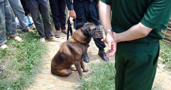 Sơn La: Huy động nhiều chó nghiệp vụ để truy bắt nghi phạm đánh chết hàng xóm