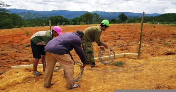 Đà Lạt xử lý nhiều trường hợp biến đất rừng phòng hộ thành trang trại
