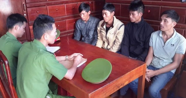 Bắt nhóm đối tượng “hạ độc” hơn 2000 cây thông để lấy đất mặt đường