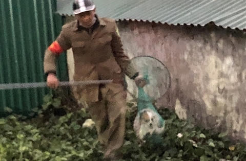 Chuyện bi hài của đội bắt chó thả rông