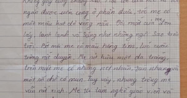 Bài văn tả mẹ thật như đếm khiến dân mạng thích thú