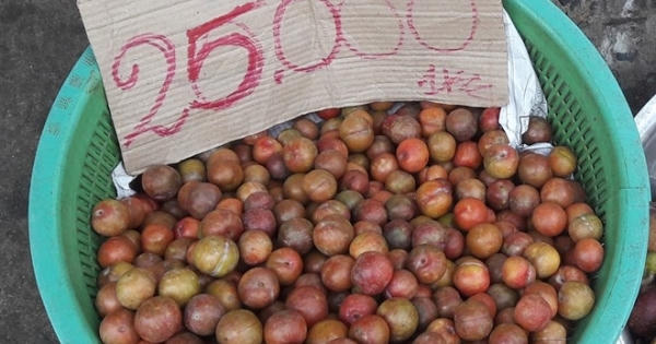 Mận, đào Trung Quốc gắn mác đặc sản Hà Nội xuống phố Sài Gòn