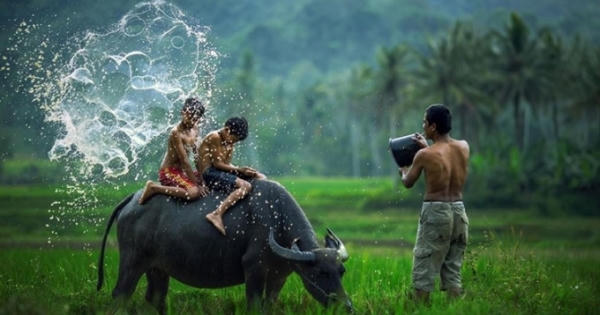 Radio Yêu thương Plus số 43: Sự bình yên…