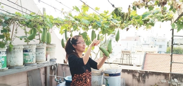 Tự lo thực phẩm sạch