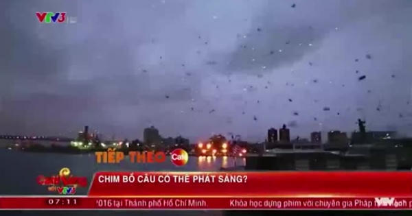 Cà phê sáng ngày 10/5/2016