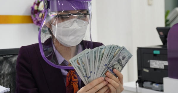 Vỡ mộng vì forex, tiền ảo