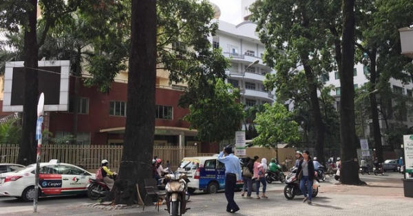 Xử lý cán bộ báo cáo quy hoạch 'đất vàng' 8A Mạc Đĩnh Chi thiếu chính xác Xử lý cán bộ báo cáo quy hoạch 'đất vàng' 8A Mạc Đĩnh Chi thiếu chính xác