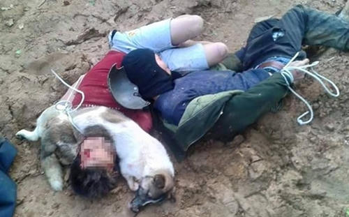 Trộm chó dùng súng bắn người truy đuổi: Xử lý tội giết người?