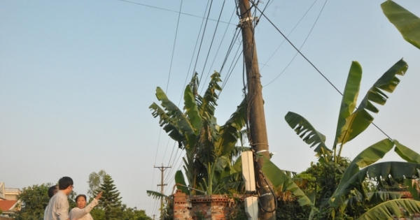 Quảng Ninh: Công nhân điện lực tử vong khi lắp đặt, sửa chữa đường dây hạ thế