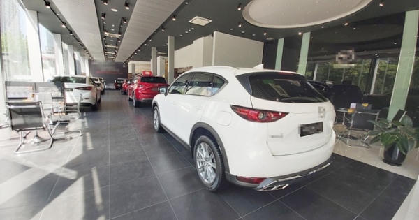 Tin kinh tế 6AM: Những mẫu xe nào sắp được giảm 50% phí trước bạ; Chứng khoán phục hồi, giá vàng lao dốc