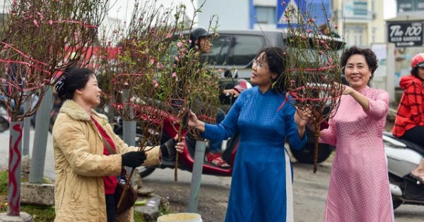 Nhiều tuyến đường Hà Nội đã rộn ràng sắc xuân
